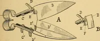 An illustration from A treatise, giving a thorough description of the properties and supply of the fibres, as well as the various processes required for converting wool, cotton, silk from fibre to finished goods, covering both woven and knit goods ... construction of the most modern improvements to preparatory machinery ... accessories relating to construction and equipment of modern textile manufacturing plants .. (1895)