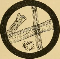 An illustration from A treatise, giving a thorough description of the properties and supply of the fibres, as well as the various processes required for converting wool, cotton, silk from fibre to finished goods, covering both woven and knit goods ... construction of the most modern improvements to preparatory machinery ... accessories relating to construction and equipment of modern textile manufacturing plants .. (1895)