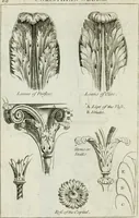 An illustration from A treatise of architecture, with remarks and observations : necessary for young people, who would apply themselves to that noble art (1732)