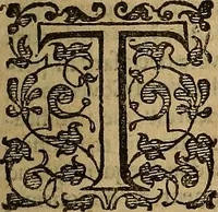 An illustration from A treatise of the covenant of grace : wherein the graduall breakings out of Gospel-grace from Adam to Christ are clearly discovered, the differences betwixt the Old and New Testament are laid open, divers errours of Arminians and others are confuted ... (1645)