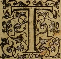 An illustration from A treatise of the covenant of grace : wherein the graduall breakings out of Gospel-grace from Adam to Christ are clearly discovered, the differences betwixt the Old and New Testament are laid open, divers errours of Arminians and others are confuted ... (1645)