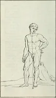 An illustration from A treatise of painting (1721)