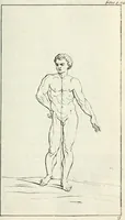 Picture 22 of 44 from A treatise of painting (1721), leaf 162