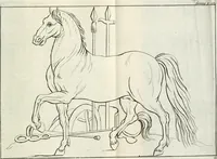 Picture 30 of 44 from A treatise of painting (1721), leaf 200