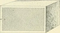 Picture 110 of 366 from A treatise on architecture and building construction (1899), leaf 189