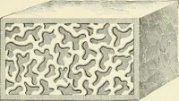 Picture 114 of 366 from A treatise on architecture and building construction (1899), leaf 192