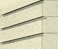 Picture 115 of 366 from A treatise on architecture and building construction (1899), leaf 192