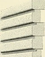 Picture 116 of 366 from A treatise on architecture and building construction (1899), leaf 192