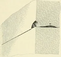 Picture 117 of 366 from A treatise on architecture and building construction (1899), leaf 194