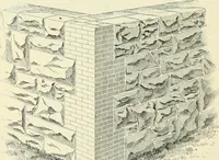 Picture 122 of 366 from A treatise on architecture and building construction (1899), leaf 197