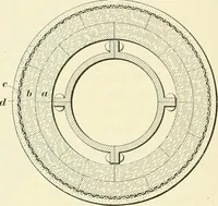 Picture 196 of 366 from A treatise on architecture and building construction (1899), leaf 285