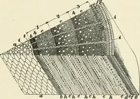 Picture 217 of 366 from A treatise on architecture and building construction (1899), leaf 334