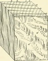 Picture 218 of 366 from A treatise on architecture and building construction (1899), leaf 337