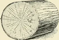 Picture 219 of 366 from A treatise on architecture and building construction (1899), leaf 338