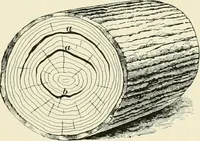 Picture 220 of 366 from A treatise on architecture and building construction (1899), leaf 340