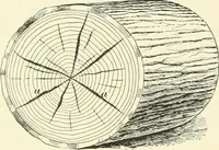 Picture 221 of 366 from A treatise on architecture and building construction (1899), leaf 345