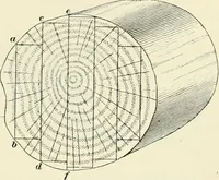 Picture 222 of 366 from A treatise on architecture and building construction (1899), leaf 346