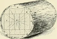 Picture 223 of 366 from A treatise on architecture and building construction (1899), leaf 346