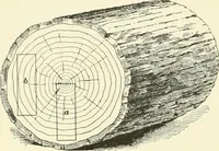 Picture 224 of 366 from A treatise on architecture and building construction (1899), leaf 347