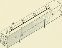 Picture 237 of 366 from A treatise on architecture and building construction (1899), leaf 374