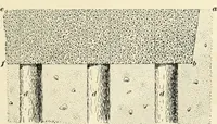 Picture 23 of 366 from A treatise on architecture and building construction (1899), leaf 54