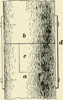 An illustration from A treatise on architecture and building construction (1899)
