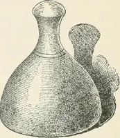 An illustration from A treatise on architecture and building construction (1899)