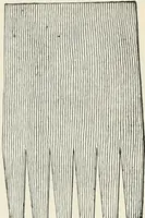 An illustration from A treatise on architecture and building construction (1899)