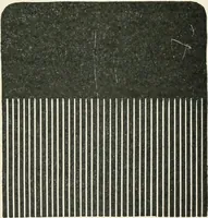 An illustration from A treatise on architecture and building construction (1899)