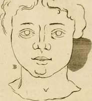 An illustration from A treatise on the art of painting, in all its branches; accompanied by seventy engraved plates, and exemplified by remarks on the paintings of the best masters .. (1817)