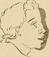 An illustration from A treatise on the art of painting, in all its branches; accompanied by seventy engraved plates, and exemplified by remarks on the paintings of the best masters .. (1817)