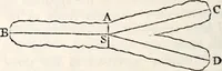 An illustration from Treatise on astronomy (1833)