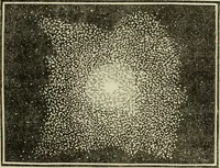 An illustration from A treatise on astronomy, descriptive, physical and practical. Designed for schools, colleges, and private students (1849)