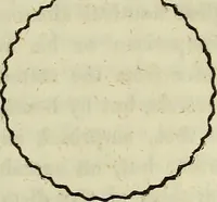 Picture 55 of 64 from A treatise on astronomy, descriptive, physical and practical. Designed for schools, colleges, and private students (1849), leaf 240