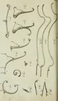 An illustration from A treatise on carriages : comprehending coaches, chariots, phaetons, curricles, whiskies, &c. : together with their proper harness, in which the fair prices of every article are accurately stated (1796)