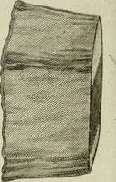 An illustration from A treatise on carriages : comprehending coaches, chariots, phaetons, curricles, whiskies, &c. : together with their proper harness, in which the fair prices of every article are accurately stated (1796)