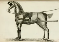 An illustration from A treatise on carriages : comprehending coaches, chariots, phaetons, curricles, whiskies, &c. : together with their proper harness, in which the fair prices of every article are accurately stated (1796)