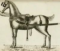 An illustration from A treatise on carriages : comprehending coaches, chariots, phaetons, curricles, whiskies, &c. : together with their proper harness, in which the fair prices of every article are accurately stated (1796)