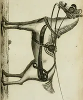 An illustration from A treatise on carriages : comprehending coaches, chariots, phaetons, curricles, whiskies, &c. : together with their proper harness, in which the fair prices of every article are accurately stated (1796)