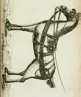 An illustration from A treatise on carriages : comprehending coaches, chariots, phaetons, curricles, whiskies, &c. : together with their proper harness, in which the fair prices of every article are accurately stated (1796)