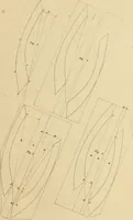 An illustration from A treatise on the construction of staircases and handrails ... Preceded by some necessary problems in practical geometry; with the sections and coverings of prismatic solids (1820)