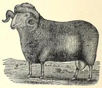An illustration from A treatise on designing and weaving plain and fancy woolen clothes : with more than one hundred weaves of the latest and most staple and popular styles, from a two-harness plain weave up to a forty-eight harness fancy weave, accompanied by rules and calculations : together with more than thirty illustrated pick-outs or diagrams : also, directions as to the manner of reducing large and complicated designs to their lowest terms, with the cross-drawing-in-drafts for the same ; rules for picking cut samples, and other rules and tables of importance to manufacturers (1878)
