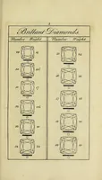 Picture 5 of 9 from A treatise on diamonds and pearls : in which their importance is considered : and plain rules are exhibited for ascertaining the value of both; and the true method of manufacturing diamonds (1751), leaf 201