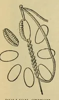 Picture 1 of 18 from A treatise on embroidery; with twenty color illustrations from original models (1907), leaf 15