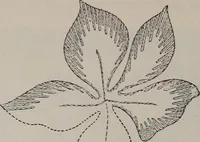 An illustration from A treatise on embroidery, crochet and knitting .. (1899)