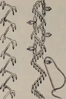 An illustration from A treatise on embroidery, crochet and knitting .. (1899)