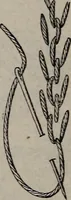 An illustration from A treatise on embroidery, crochet and knitting .. (1899)