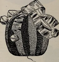 An illustration from A treatise on embroidery, crochet and knitting .. (1899)