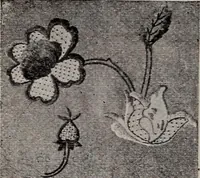 An illustration from A treatise on embroidery, crochet and knitting .. (1899)