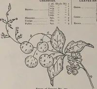 An illustration from A treatise on embroidery, crochet and knitting .. (1899)